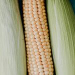 receitas-festa-junina