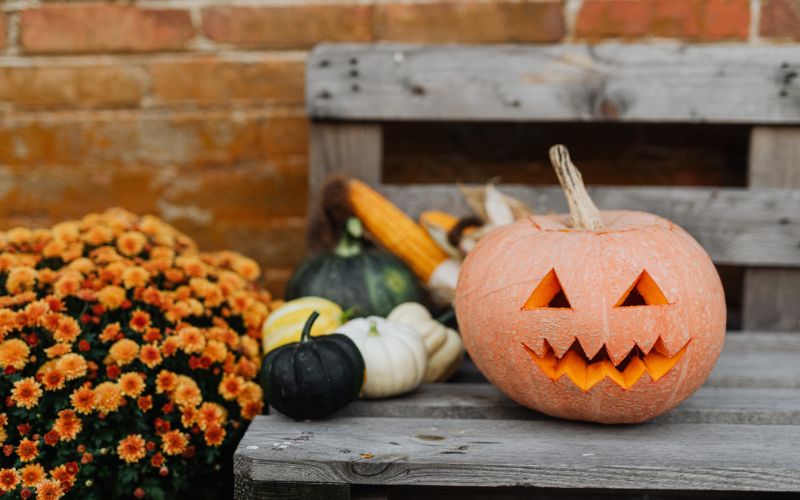 Fantasia de Halloween para crianças - diversão e conforto