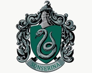 Casas de Hogwarts: SONSERINA